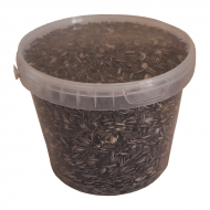 Słonecznik czarny 3500 ml