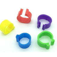 Pierścień drobiowy 1 szt