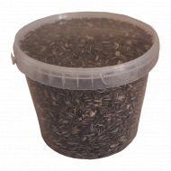 Słonecznik zwyczajny 3500 ml