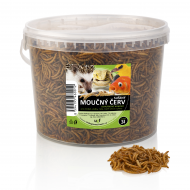 Sušený moučný červ