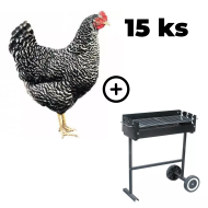 Kurczak Cętkowany 15 szt. + 15 szt. Pierścieni + Micros Mineral 1 kg ZA DARMO