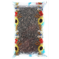 Słonecznik zwyczajny 3500 ml