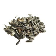 Słonecznik zwyczajny 3500 ml