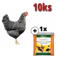 Kukurydza z cętkami 10 szt. + 10 szt. Pierścieni GRATIS