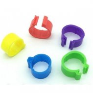 Pierścień dla gołębi