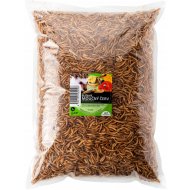 Sušený moučný červ